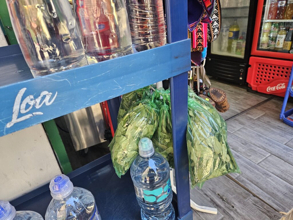 Bagged coca leaves