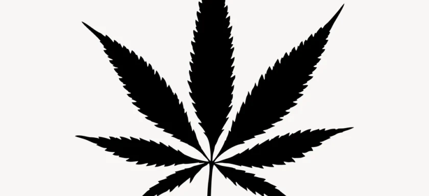 Cannabis silhouette clip art psd