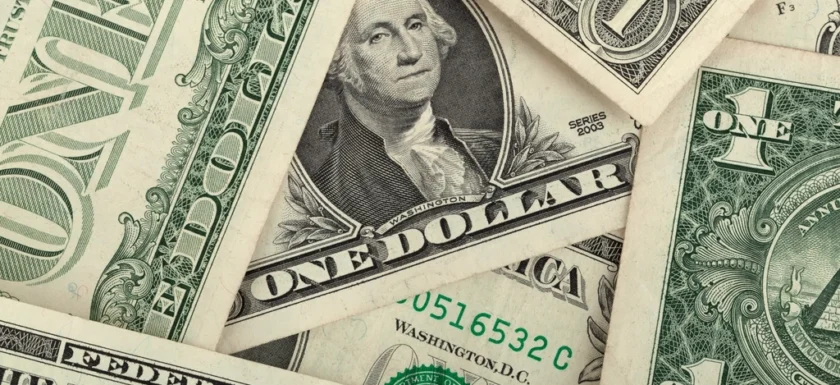 American dollar, money & banking